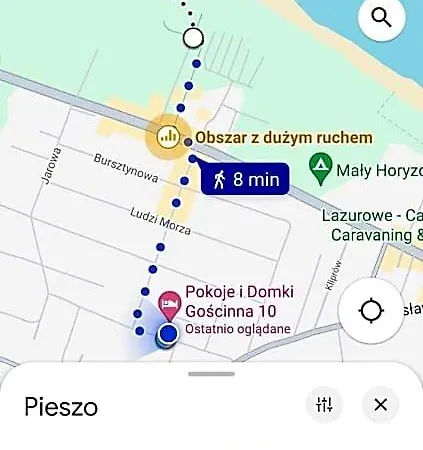 Goscinna 10 *